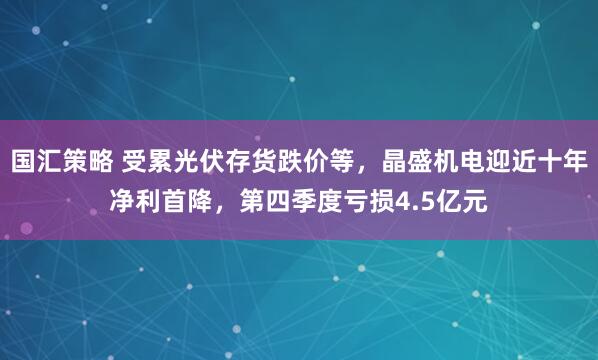 国汇策略 受累光伏存货跌价等，晶盛机电迎近十年净利首降，第四季度亏损4.5亿元
