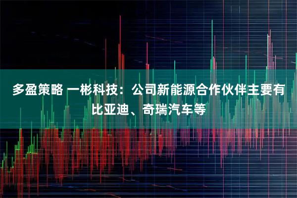 多盈策略 一彬科技：公司新能源合作伙伴主要有比亚迪、奇瑞汽车等