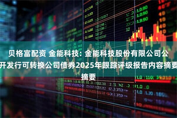 贝格富配资 金能科技: 金能科技股份有限公司公开发行可转换公司债券2025年跟踪评级报告内容摘要