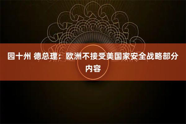 园十州 德总理：欧洲不接受美国家安全战略部分内容