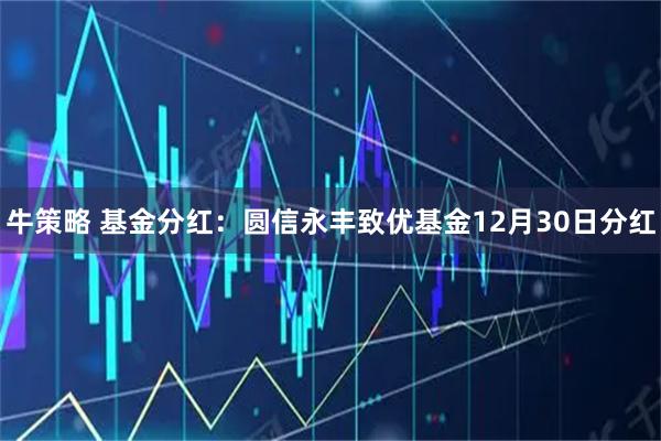 牛策略 基金分红：圆信永丰致优基金12月30日分红