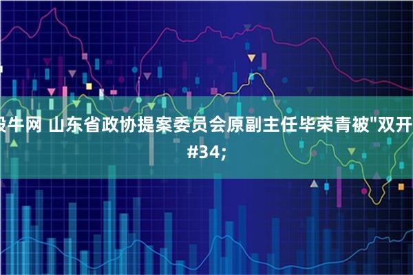 股牛网 山东省政协提案委员会原副主任毕荣青被"双开"
